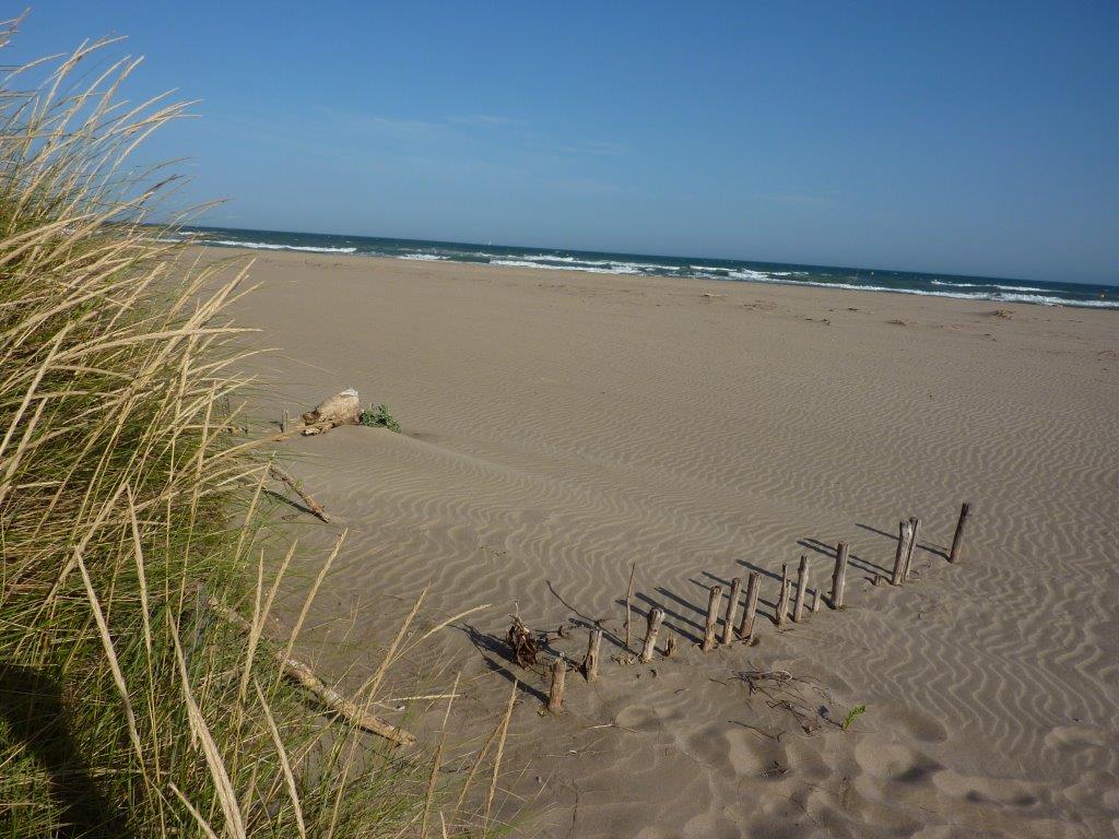 ***************** Hei feelt eng Foto **************