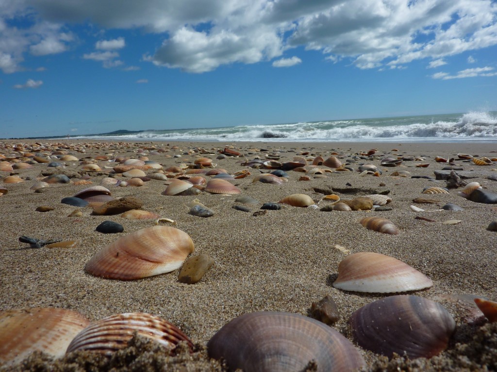 ***************** Hei feelt eng Foto **************