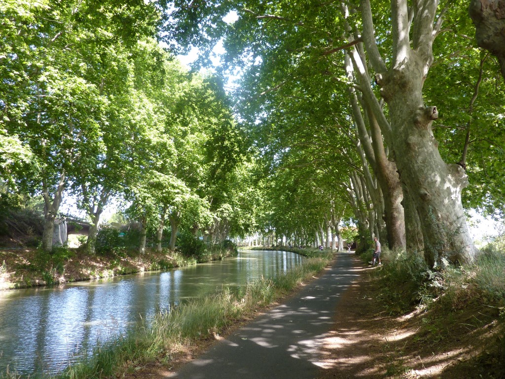 ***************** Hei feelt eng Foto **************