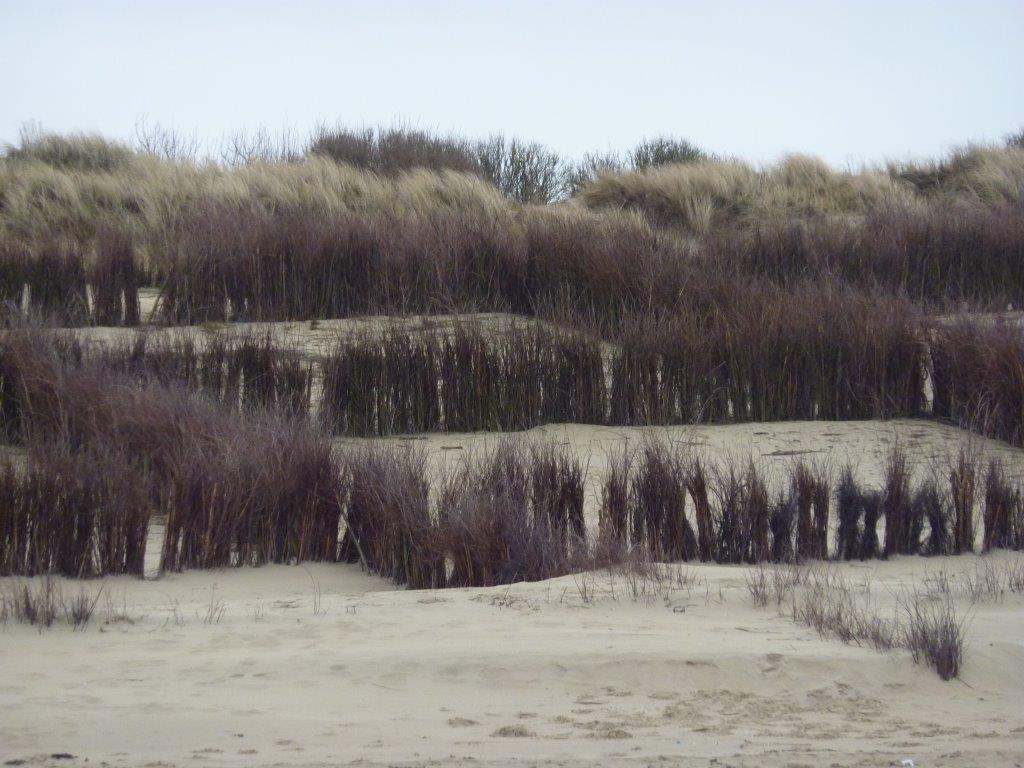 ***************** Hei feelt eng Foto **************