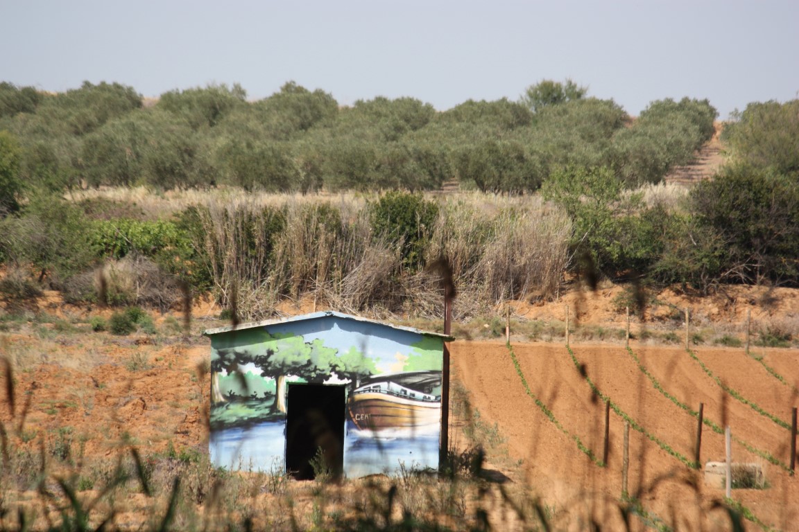 ***************** Hei feelt eng Foto **************