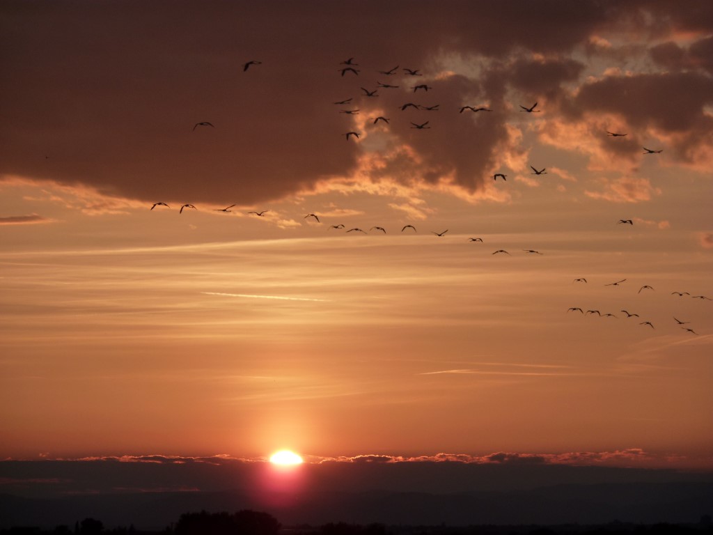 ***************** Hei feelt eng Foto **************